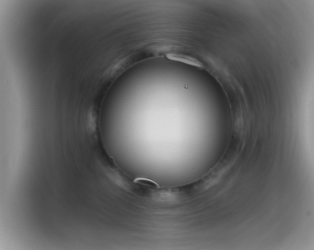 X0000115490282200911131241
