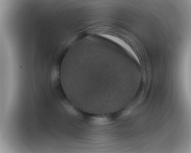 X0000115490284200911131241