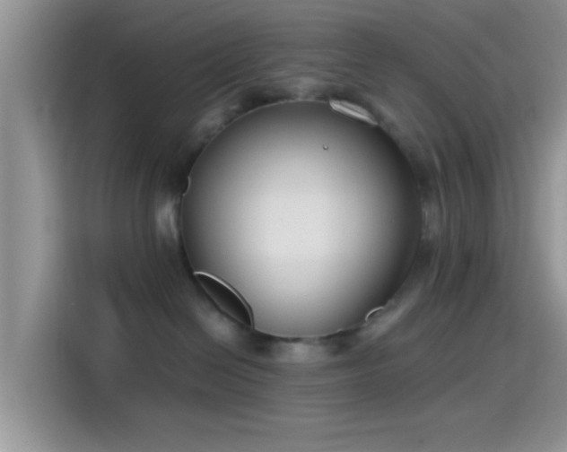 X0000115490286200911131242