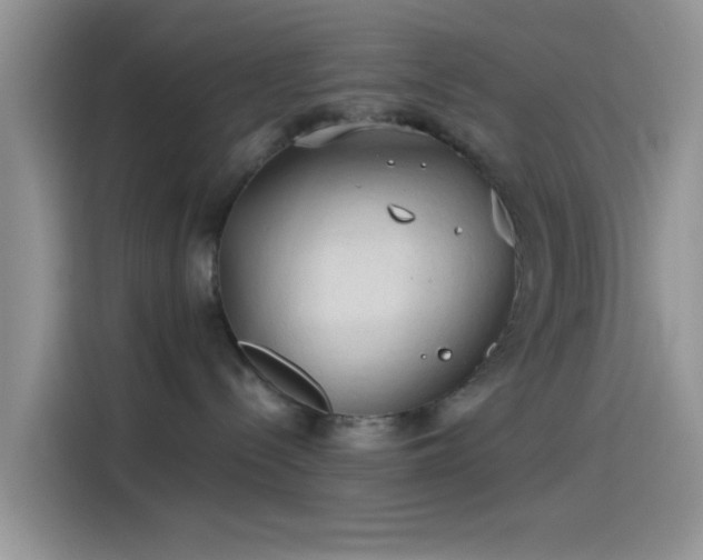 X0000115490288200911131242