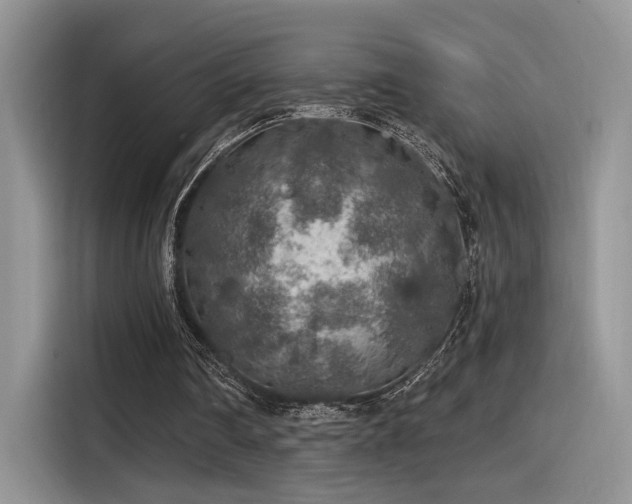 X0000115490290200911131241