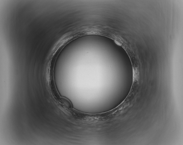 X0000115490291200911131241
