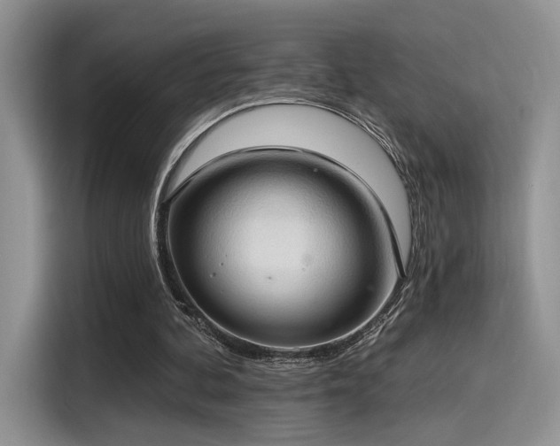 X0000115490292200911131241