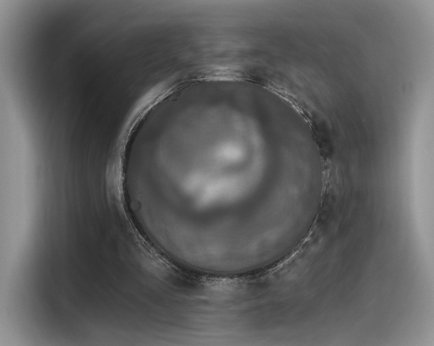 X0000115490293200911131241