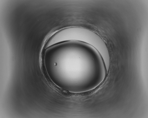 X0000115490294200911131241