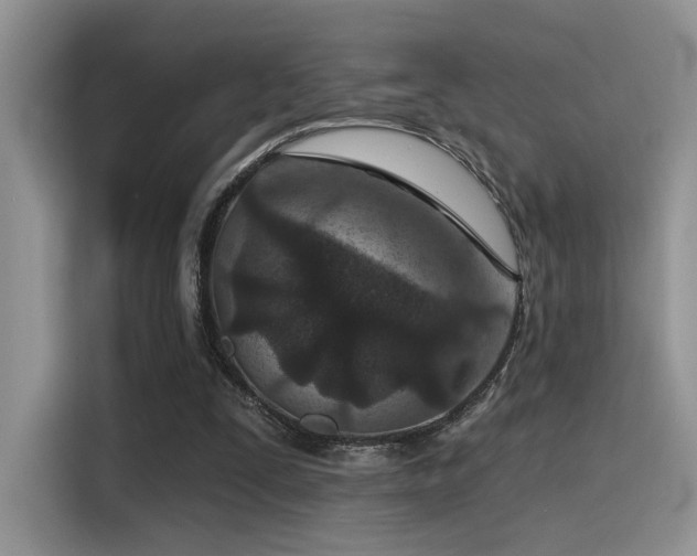 X0000115490295200911131241