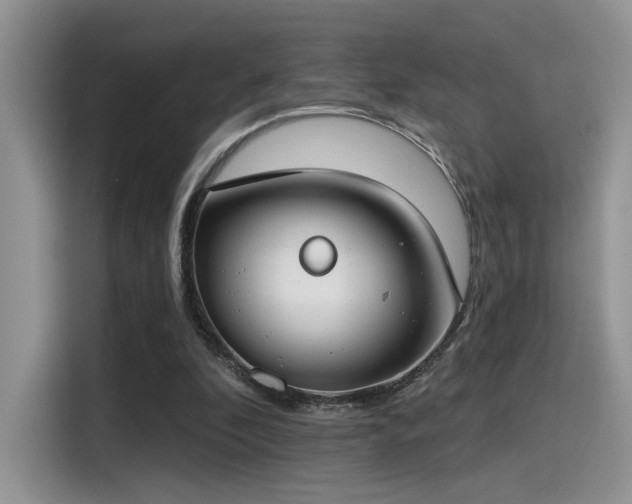 X0000115490296200911131241