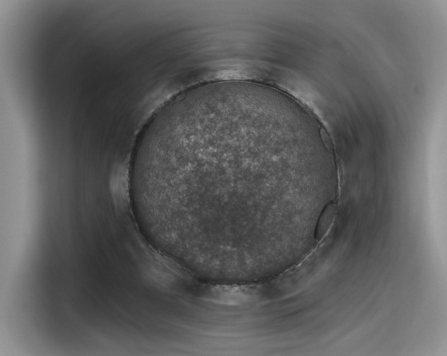 X0000115490297200911131241