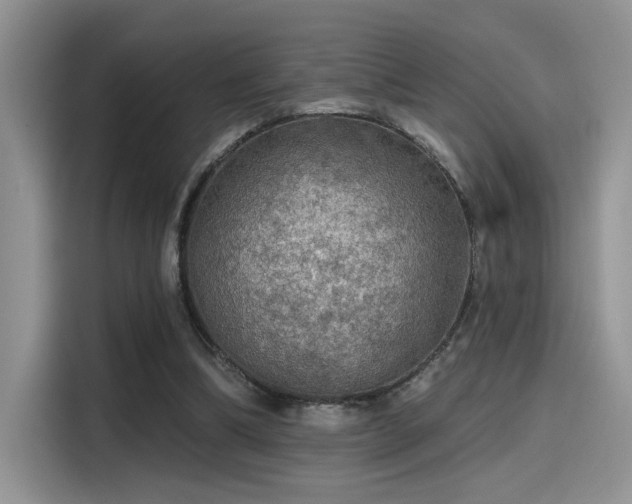 X0000115490298200911131241