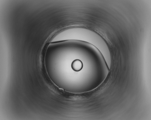 X0000115490300200911131241
