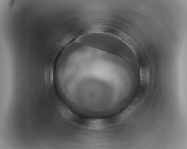 X0000115490301200911131241