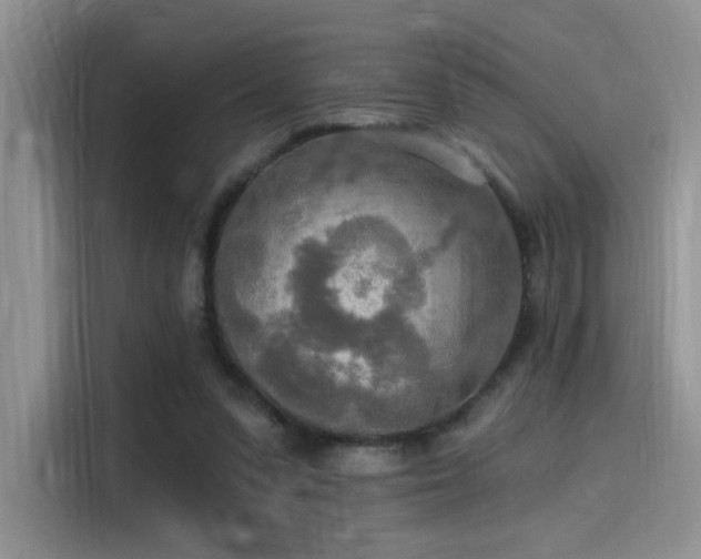 X0000115490303200911131241