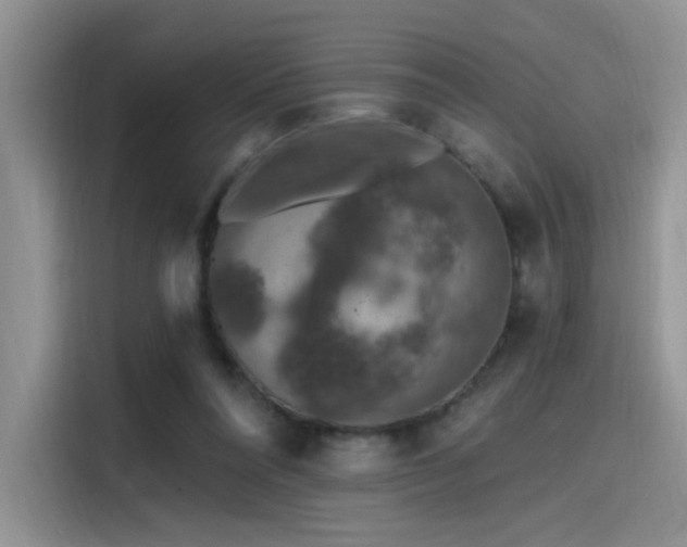 X0000115490304200911131241