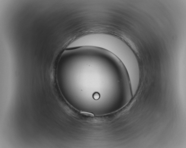 X0000115490305200911131241