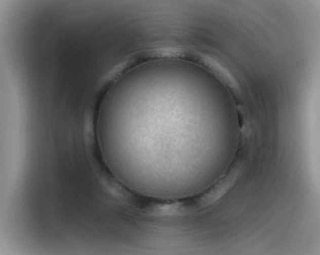 X0000115490306200911131241