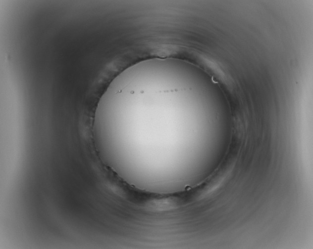 X0000115490307200911131241