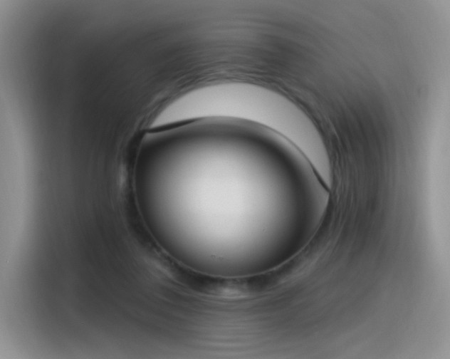 X0000115490308200911131241