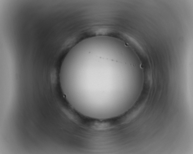 X0000115490311200911131241
