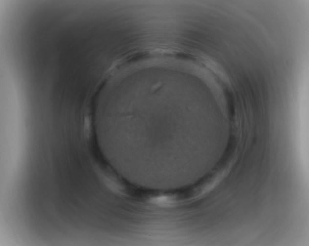 X0000115490312200911131241