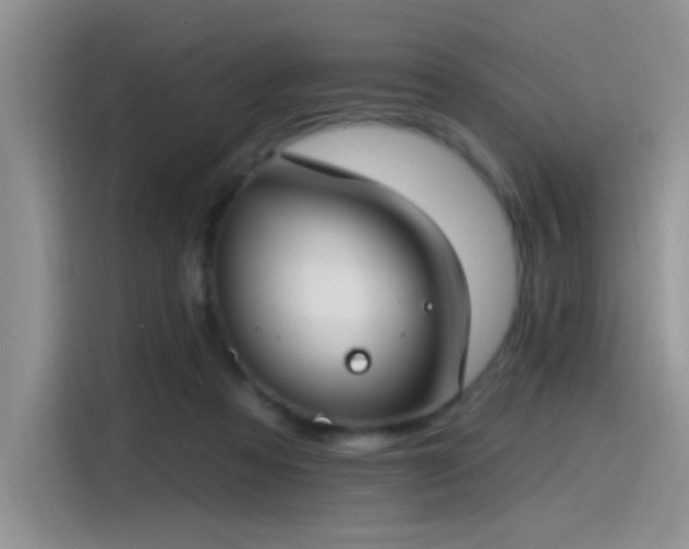 X0000115490313200911131241