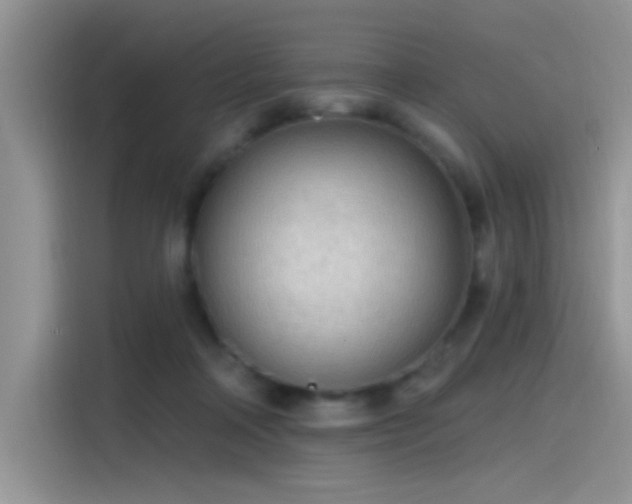X0000115490314200911131241