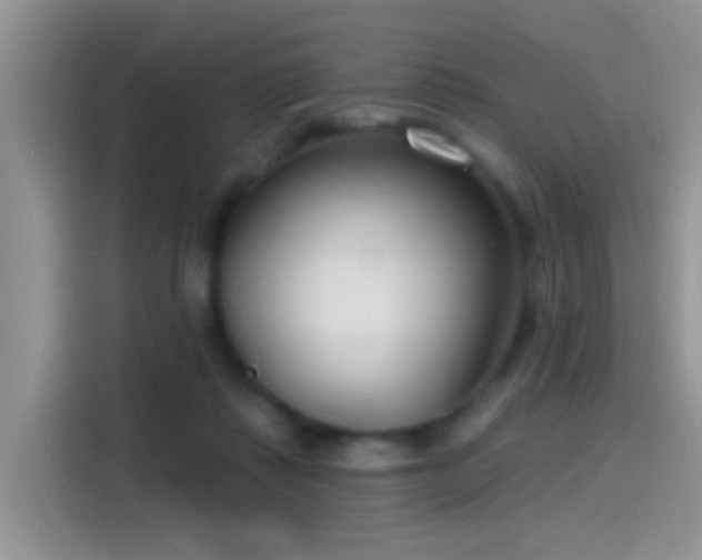 X0000115490315200911131241