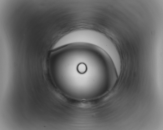 X0000115490317200911131241
