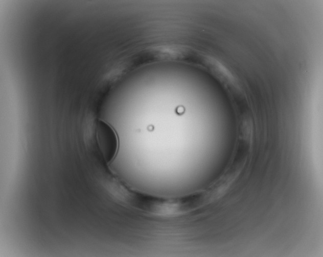 X0000115490318200911131241