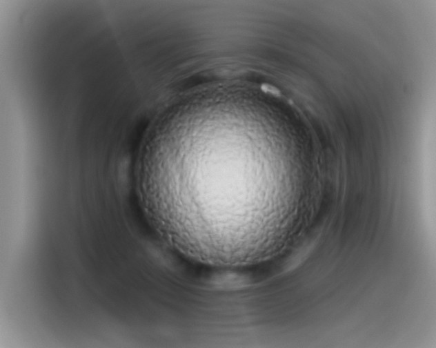 X0000115490319200911131241