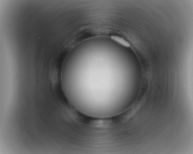 X0000115490323200911131240