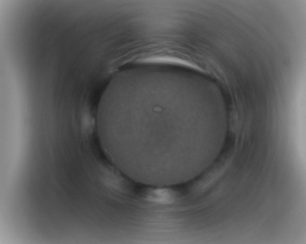 X0000115490324200911131240