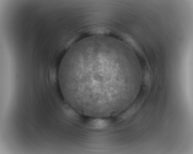 X0000115490326200911131240