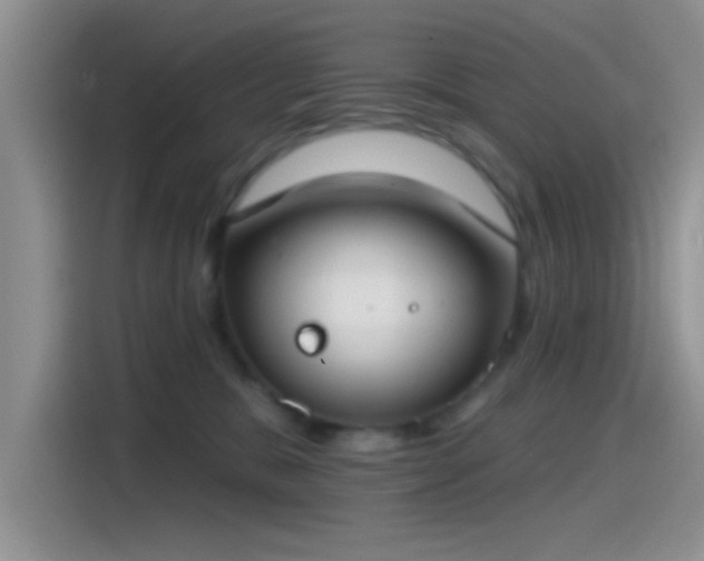 X0000115490327200911131240