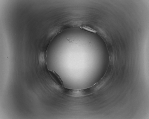 X0000115490335200911131240