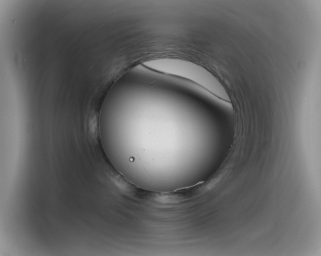 X0000115490336200911131240