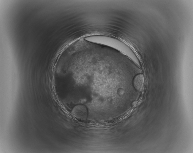 X0000115490337200911131240