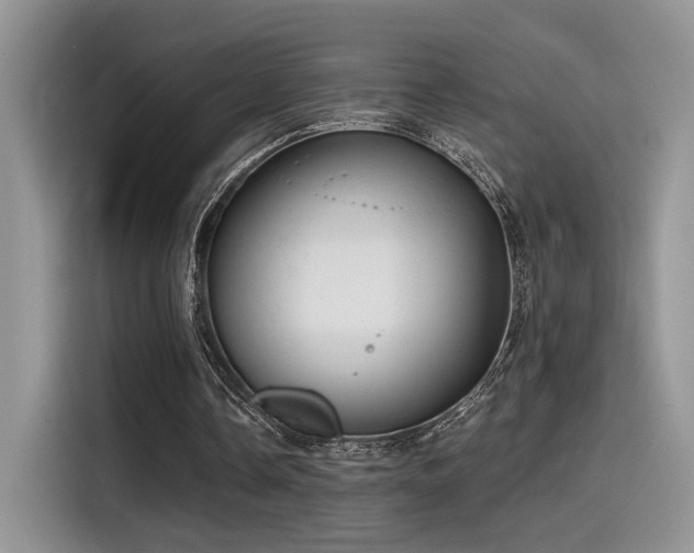 X0000115490338200911131240