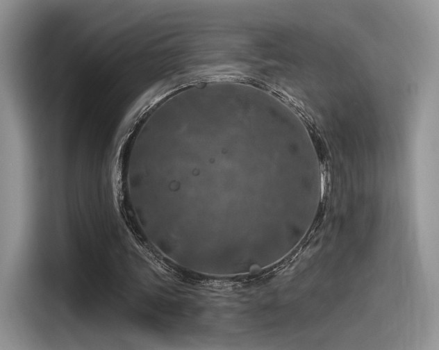 X0000115490339200911131240