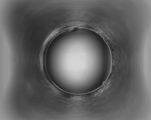 X0000115490341200911131240
