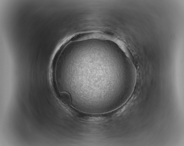 X0000115490342200911131240