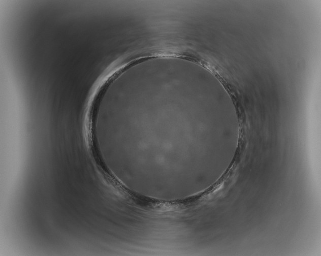 X0000115490343200911131240