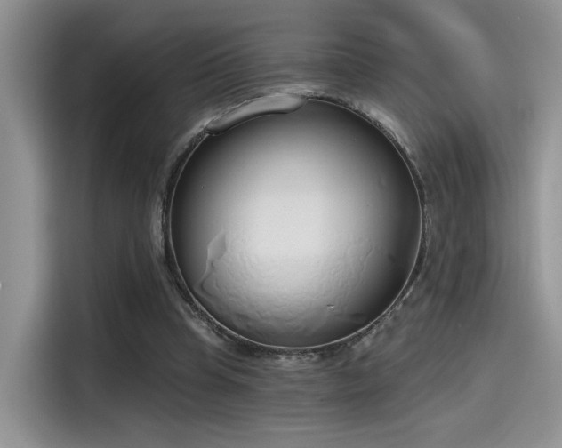 X0000115490345200911131240