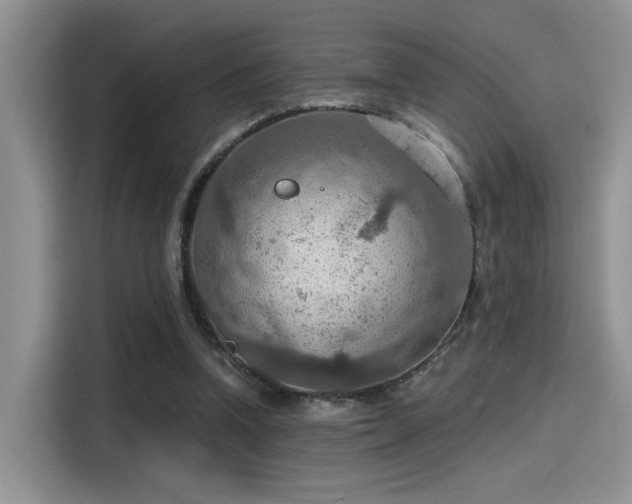 X0000115490346200911131240