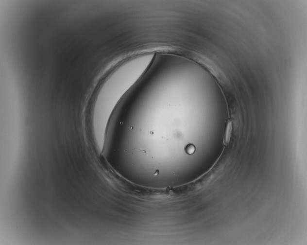 X0000115490350200911131240
