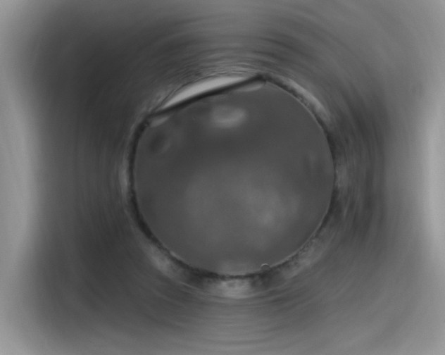 X0000115490353200911131240