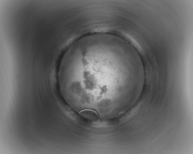 X0000115490354200911131240