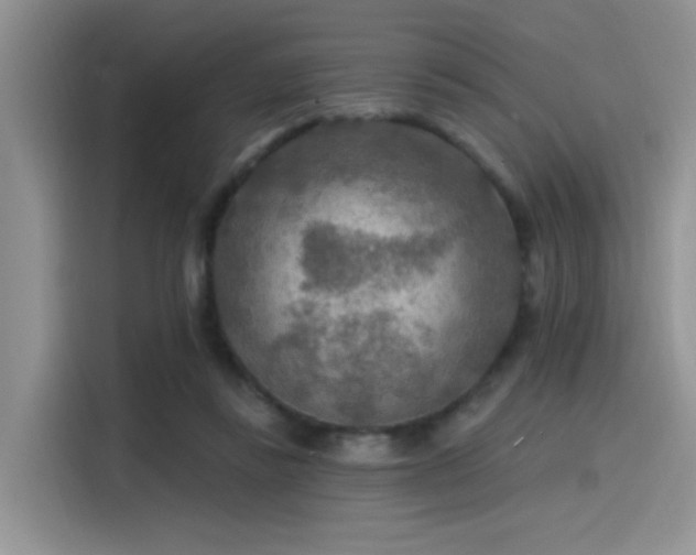 X0000115490355200911131240