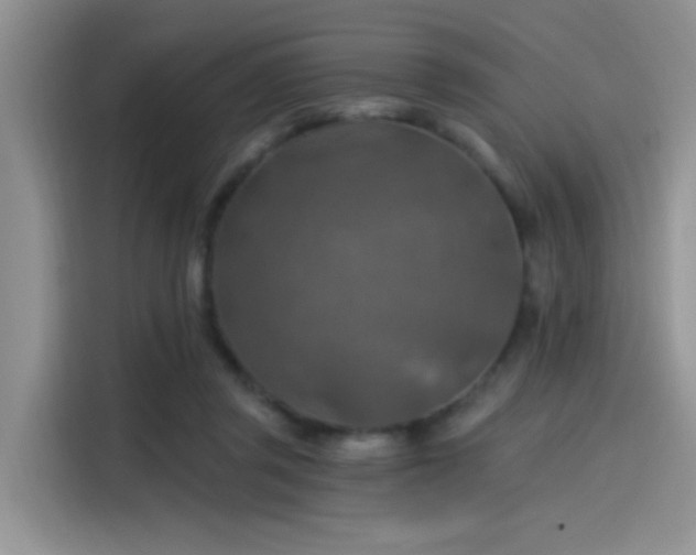 X0000115490357200911131240