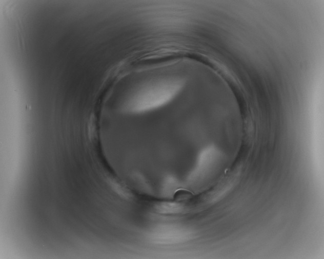 X0000115490361200911131240