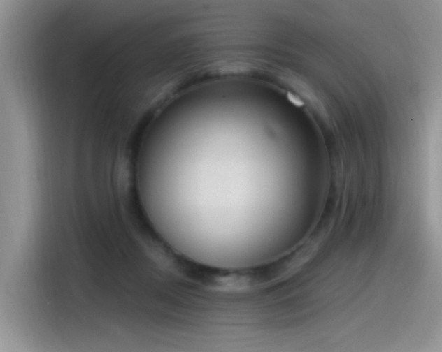 X0000115490362200911131240